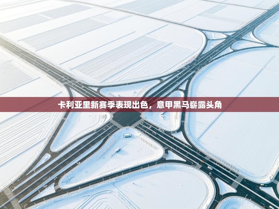 卡利亚里新赛季表现出色，意甲黑马崭露头角  第1张