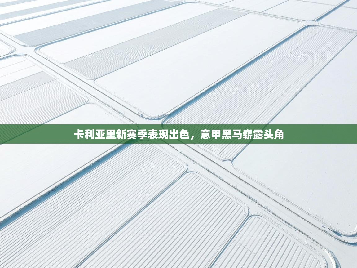 卡利亚里新赛季表现出色，意甲黑马崭露头角  第2张