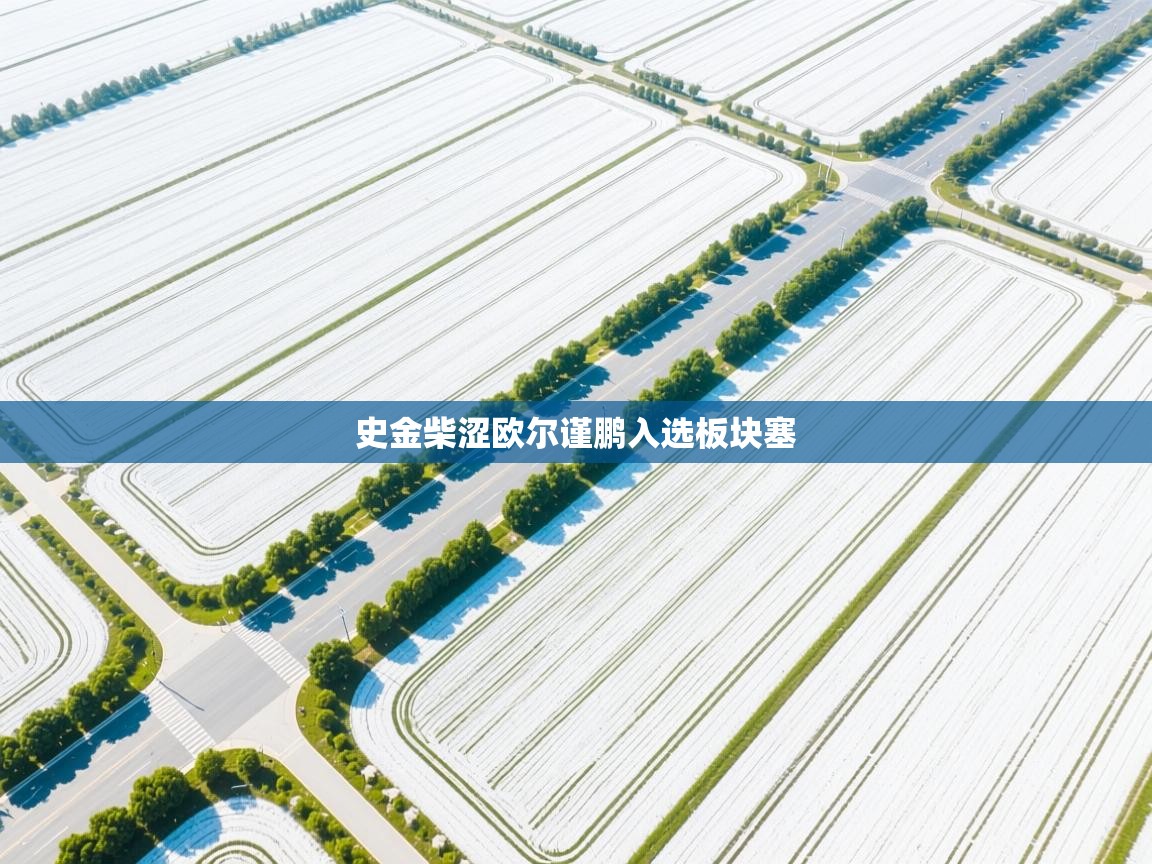 史金柴涩欧尔谨鹏入选板块塞