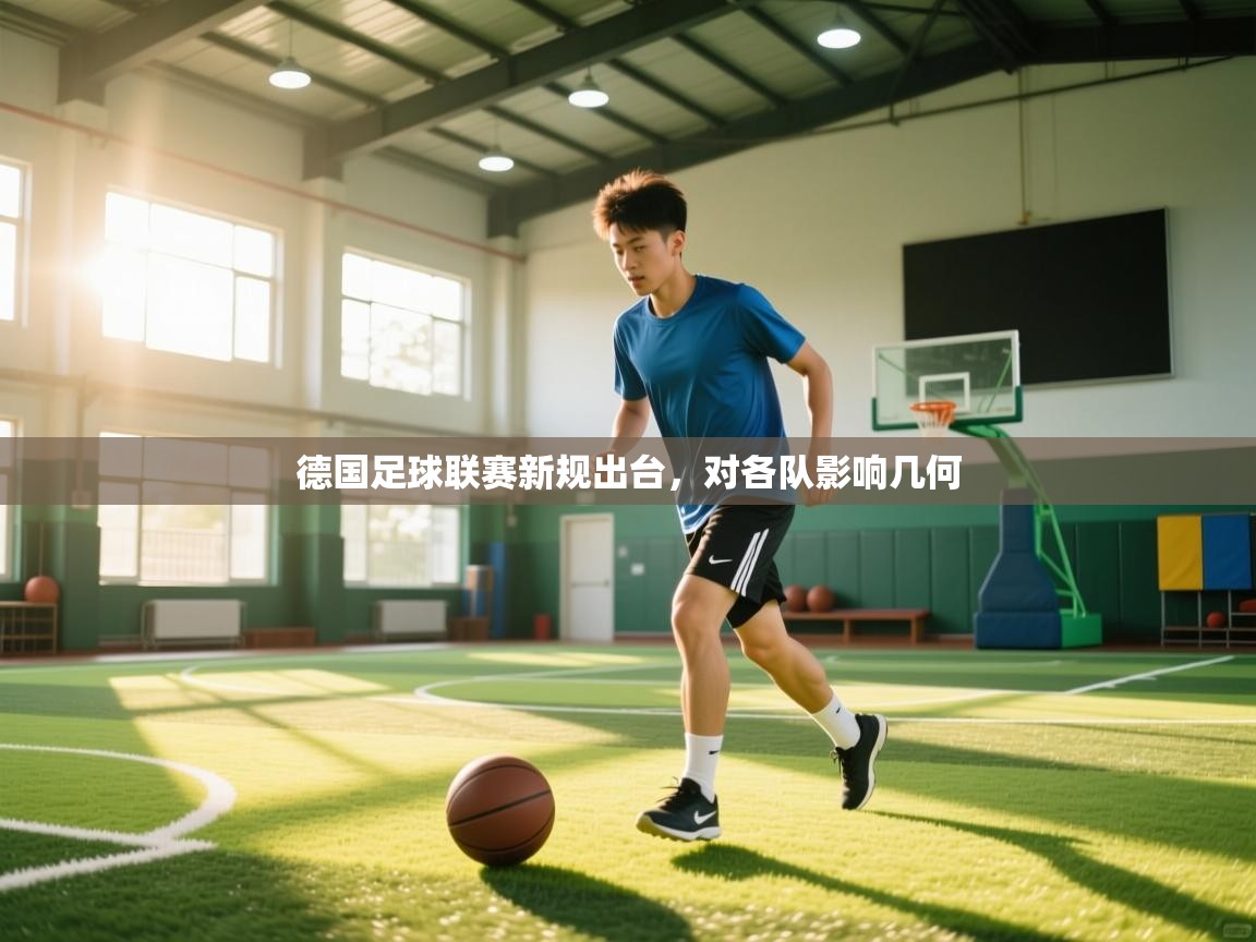 德国足球联赛新规出台，对各队影响几何  第1张
