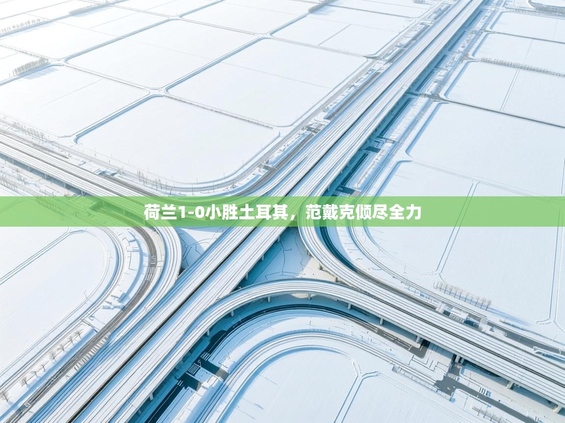 荷兰1-0小胜土耳其，范戴克倾尽全力